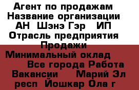 Агент по продажам › Название организации ­ АН "Шэнэ Гэр", ИП › Отрасль предприятия ­ Продажи › Минимальный оклад ­ 45 000 - Все города Работа » Вакансии   . Марий Эл респ.,Йошкар-Ола г.